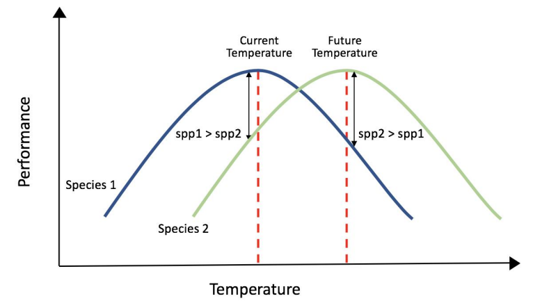 <p>Describe the relationship between population growth and thermal performance curves:<br><br>How can warming reverse the competitive advantage between species?</p>