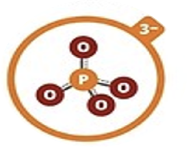 <p>Phosphate</p>