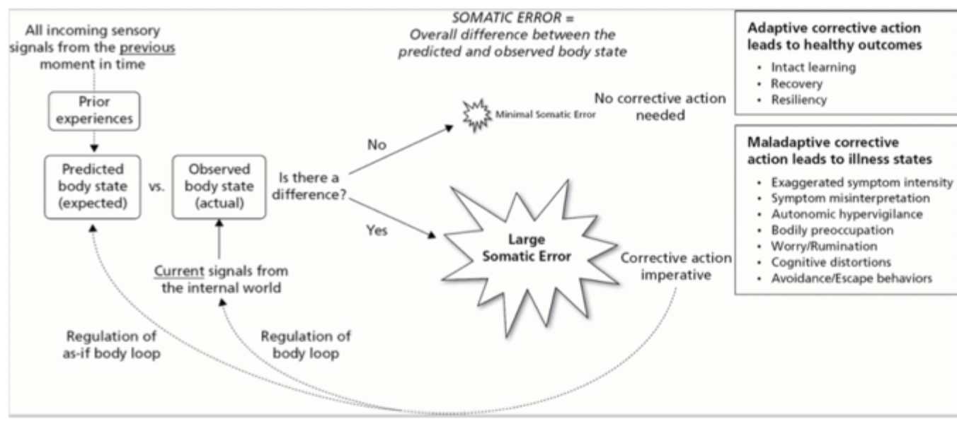 <ul><li><p>large uncorrected prediction errors may lead to psychiatric conditions</p></li><li><p>maladaptive behaviours → e.g. avoidance, withdrawal</p></li><li><p>maladaptive cognitions → e.g. rumination, worry</p></li></ul><p></p>