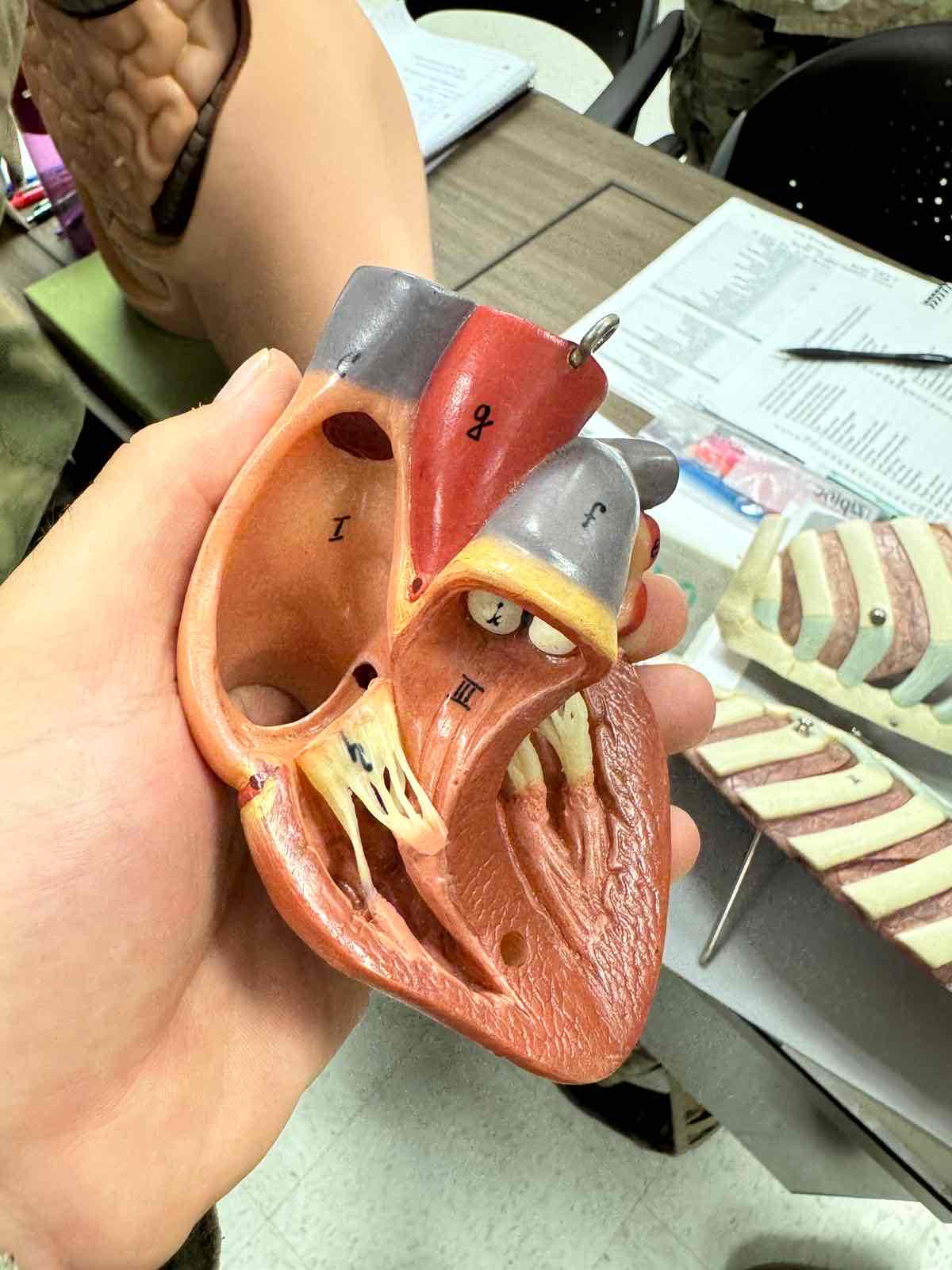 <p>57 C</p>
