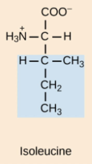 <p>Iso</p>