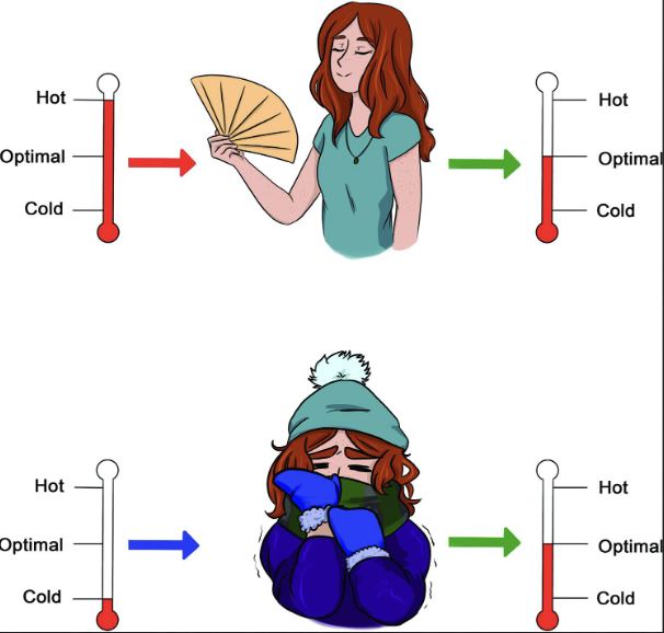 <p>drive: internal state that arises in response to a need like homeostasis </p>