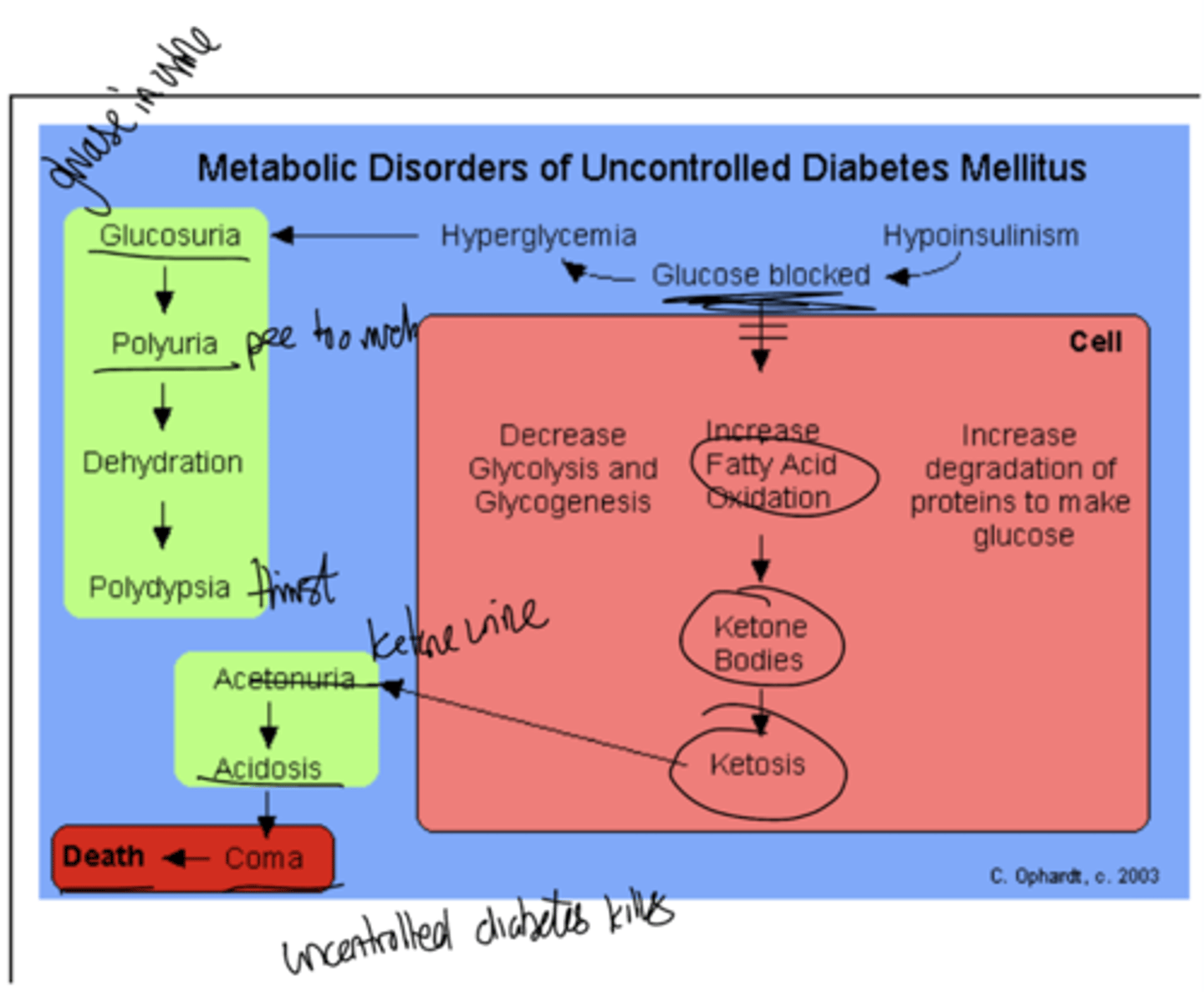 knowt flashcard image