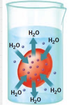 <p>What is this?</p>