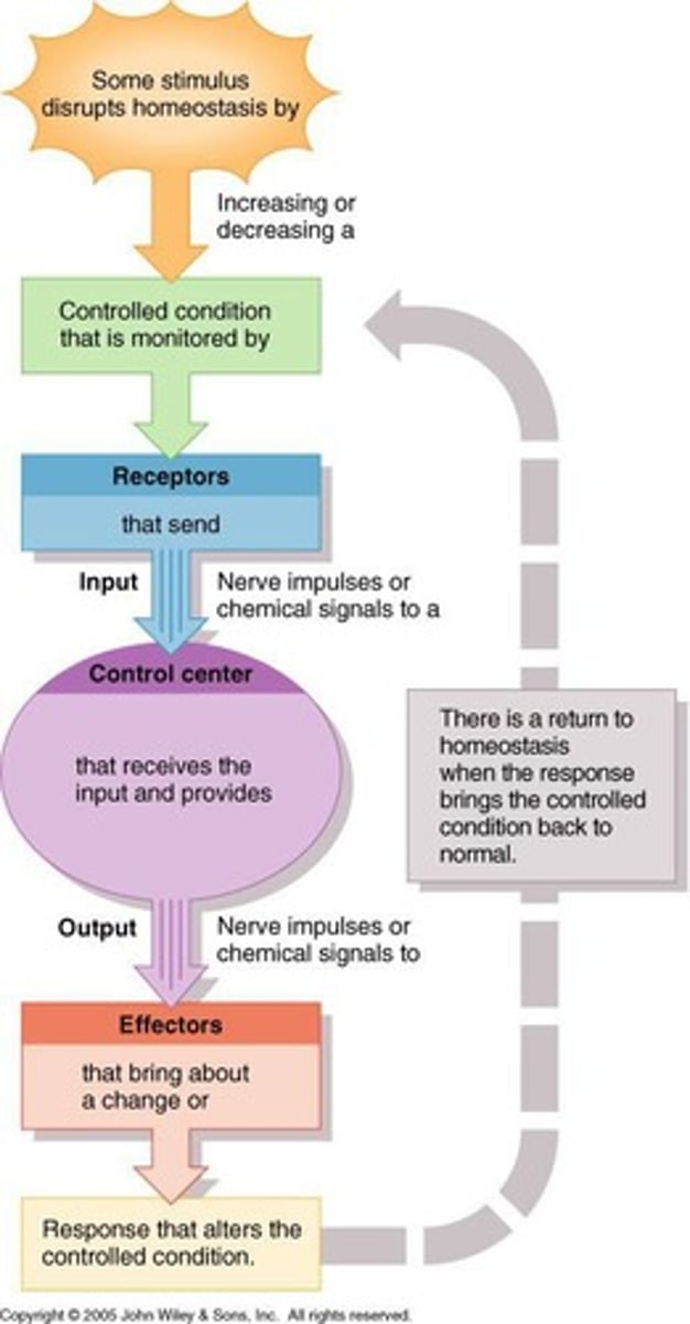 <p>A stimulus is producing a response that opposes the original stimulus.</p>