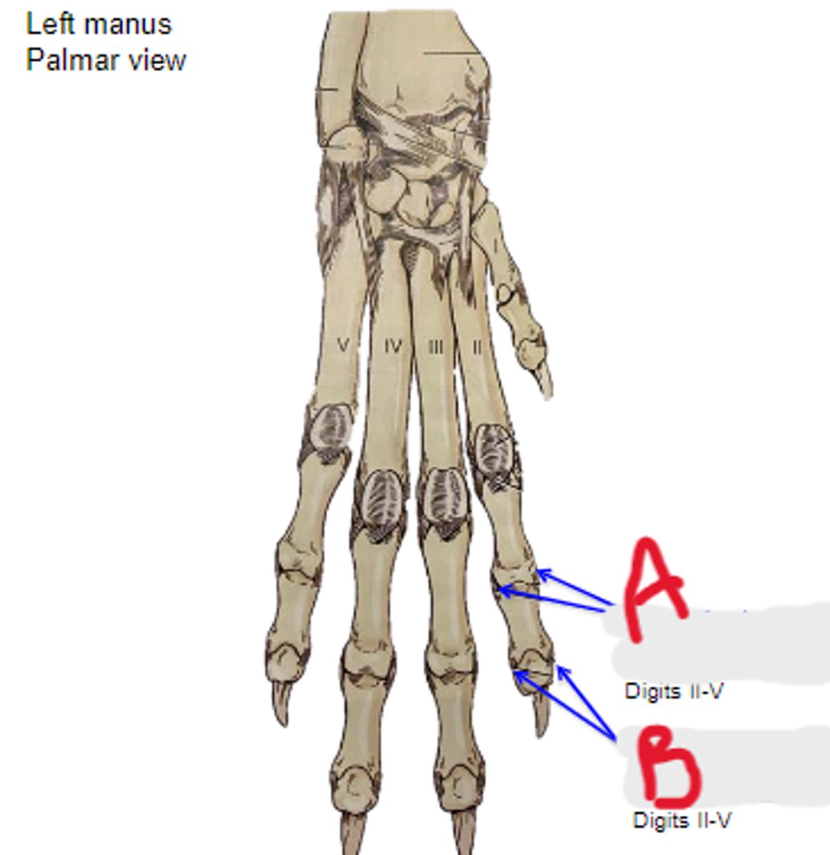 <p>What is A?</p>