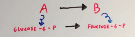<p>transfer of functional group/s within molecules</p><p>change sthe structure/ isomeric form</p>