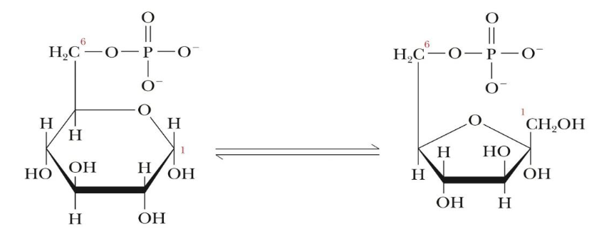 <p>What step of glycolysis is this?</p>
