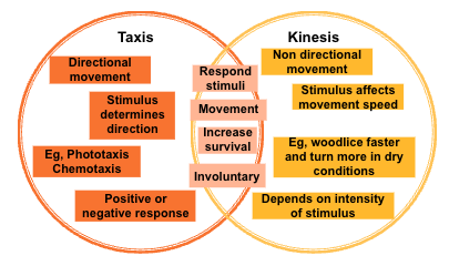 <ul><li><p>both are responses to stimuli</p></li><li><p>both involve movement</p></li><li><p>both increase survival</p></li><li><p>both are involuntary</p></li></ul><p></p>