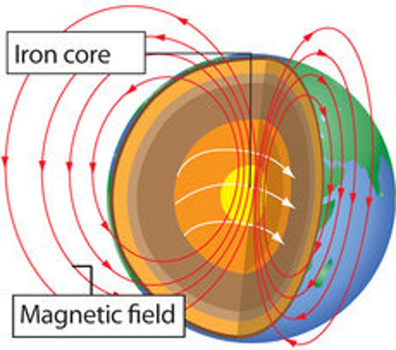 <p>invisible lines that map out the magnetic field around a magnet</p>
