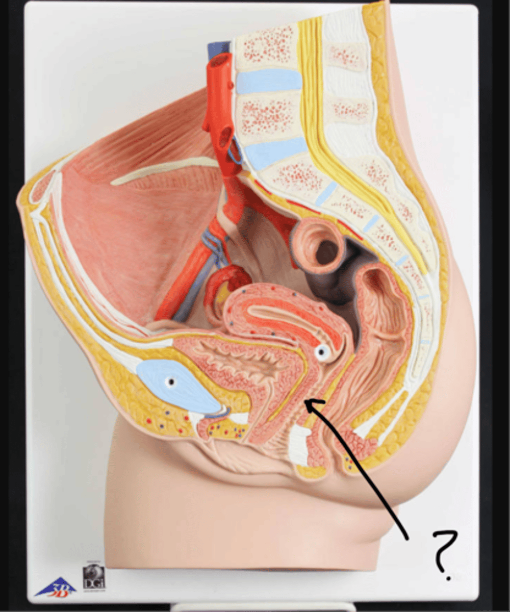 <p>Name this space.</p>