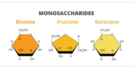 <p>glucose, fructose, galactose</p>