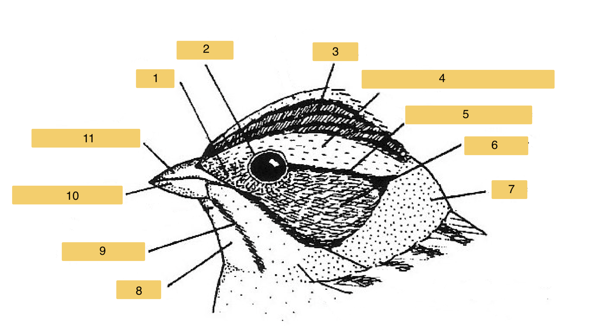 <p>What is 2? </p>