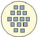 cell transformation