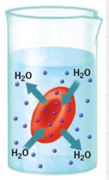 <p>What is this?</p>