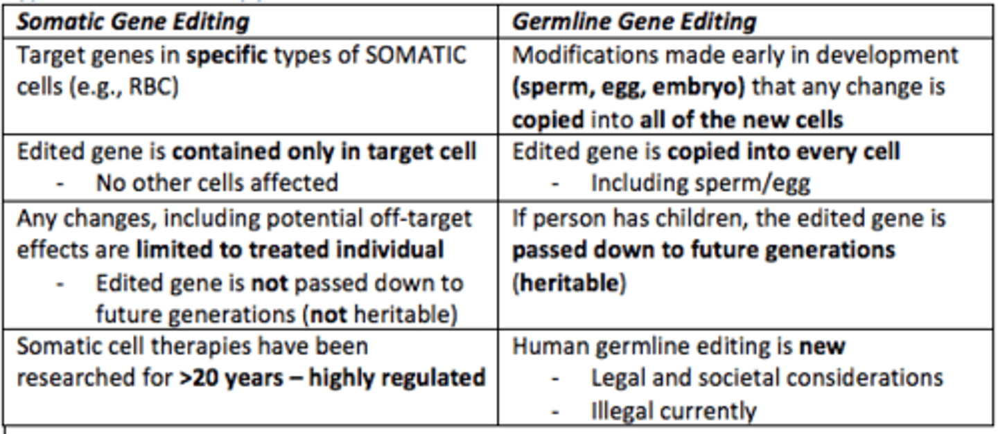 <p>Egg/sperm (germ cells)</p><p>- Modifies DNA of an embryo</p><p>- Passed down to future generations</p>