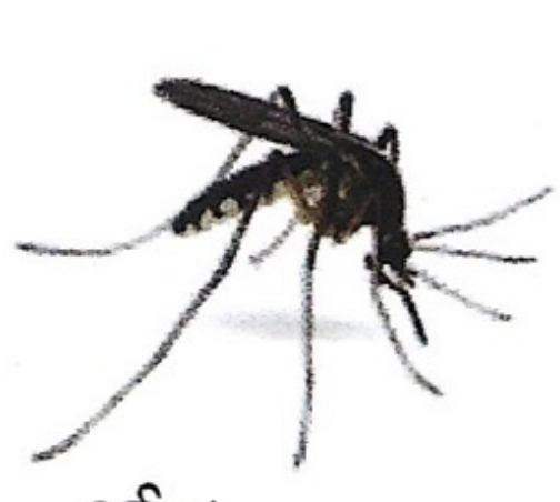 <p>ఇది ఏమిటి?</p>