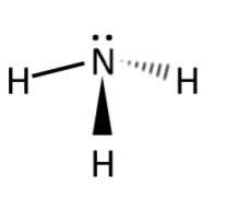 <ul><li><p>polar</p></li></ul>