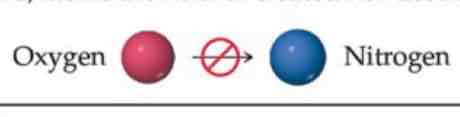 <p><u>Dalton’s Atomic Theory</u></p><p>Recite the postulate associated w/ the illustration</p><p></p>
