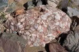 <p>Sedimentary rock</p>