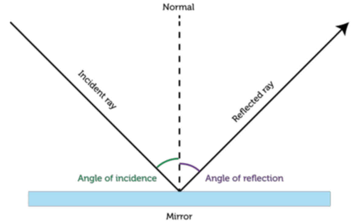 <p>Angle of incidence equals the angle of reflection.</p>