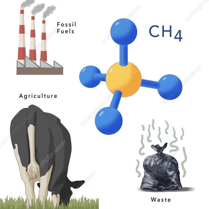 <p>Comment appelle-t-on le gaz naturel, incolore et inflammable, produit par la décomposition de matières organiques (dans les marais, les rizières, les décharges ou l’estomac des ruminants), qui est le principal composant du gaz domestique et contribue fortement à l’effet de serre ?</p>