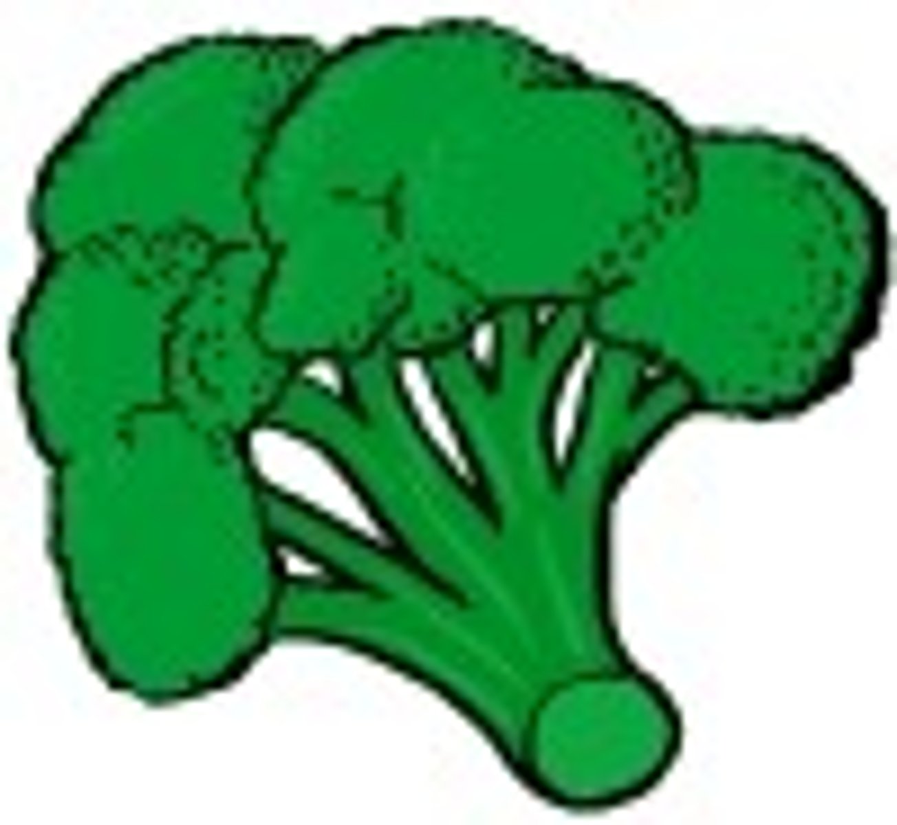 <p>the broccoli</p>