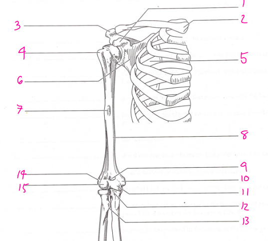 <p>What is number 3? </p>