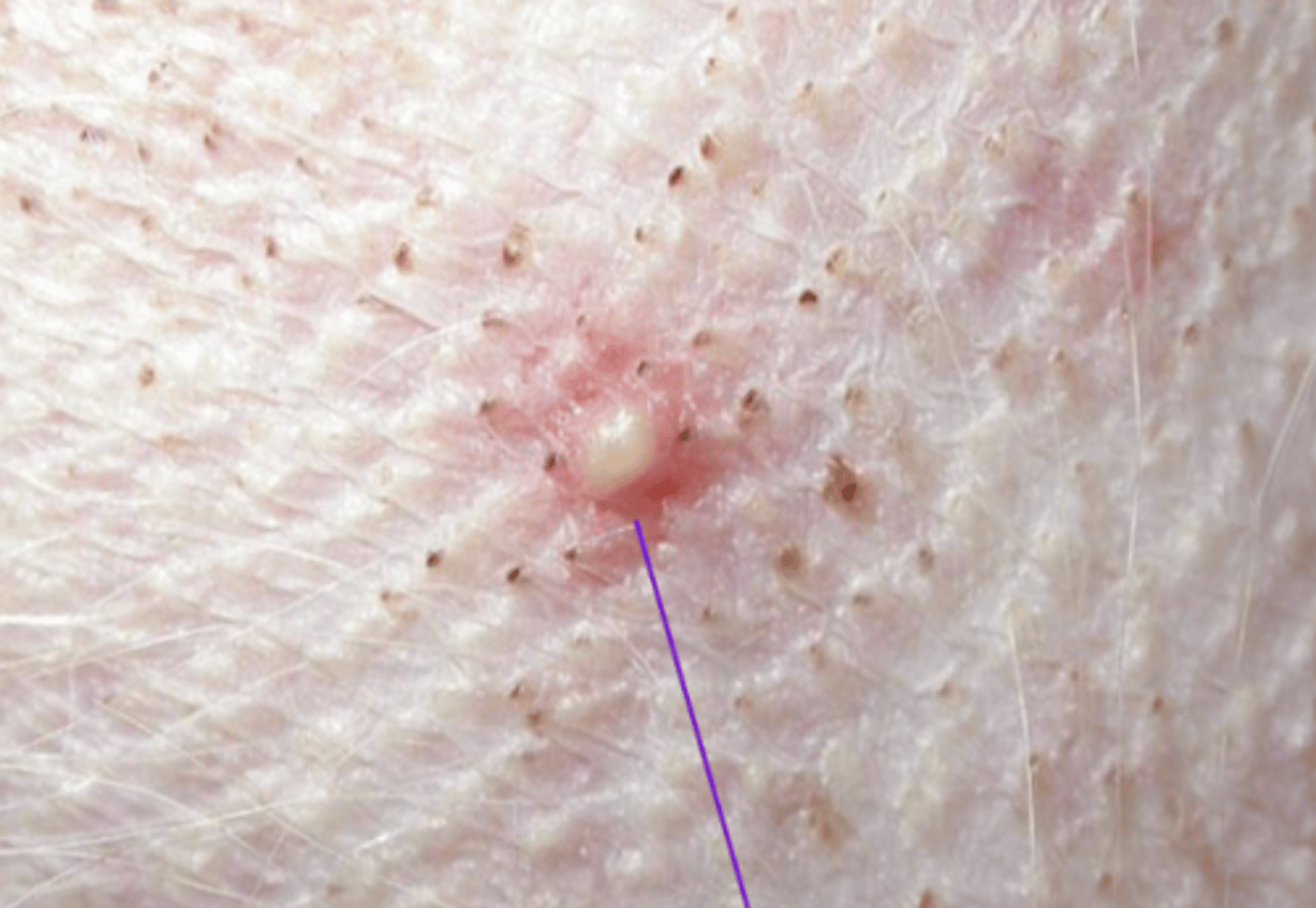 <p>what is this?</p>