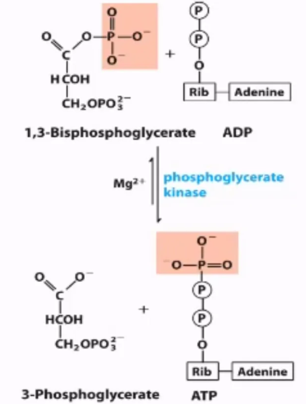 <p>what step is this? </p>