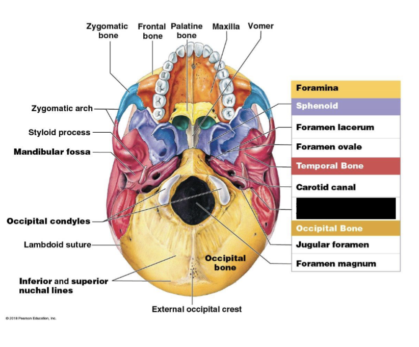 term image