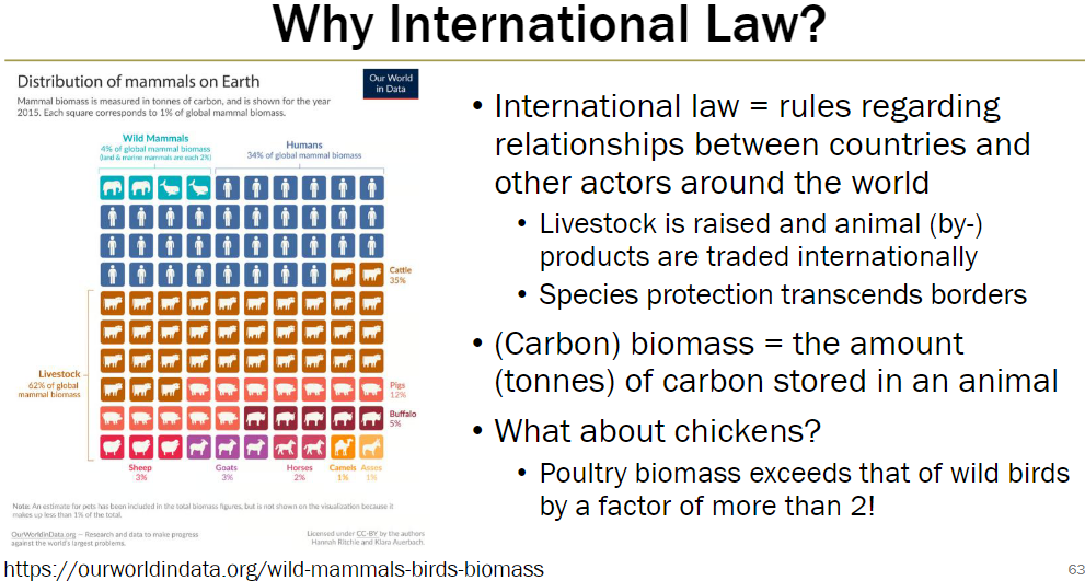 <p><strong>Definition</strong><br> Rules governing relationships between countries and other global actors</p><p><strong>Importance for Animals</strong><br> Livestock and animal by-products are traded internationally<br> Species protection crosses national borders</p><p><strong>Additional Note</strong><br> Carbon biomass = amount of carbon (tonnes) stored in an animal<br> Poultry biomass exceeds wild bird biomass by more than 2×</p>