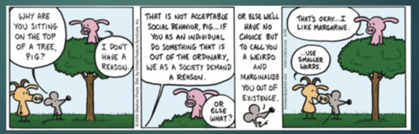 <p>Behaviors that are culturally or personally acceptable can be pathologized under the DSM-5. This creates controversy, particularly around what society deems "normal."</p>