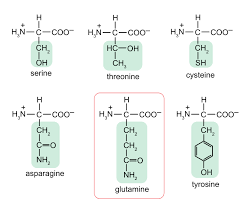 <p>C-O, C-S, C-N</p>