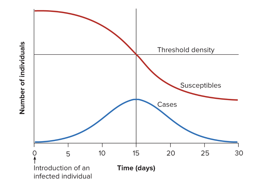 <ul><li><p>host to host epidemic</p></li><li><p>introduction of a single infected individual into susceptible population</p></li><li><p>initial infection propagated gradually (relatively slow and prolonged rise → infects multiple individuals and then there is a gradual decline in # infected)</p></li></ul><p></p>
