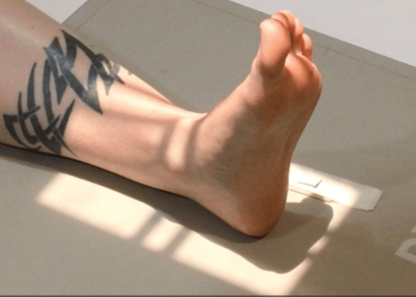 <p>Pt Placement: True AP position, toes straight in the air</p><p>Collimation: Part size</p><p>CR Placement: Middle of ankle joint</p><p>Tube tilt: None</p><p>SID: 40" tabletop</p><p>Breathing: DBDM</p>