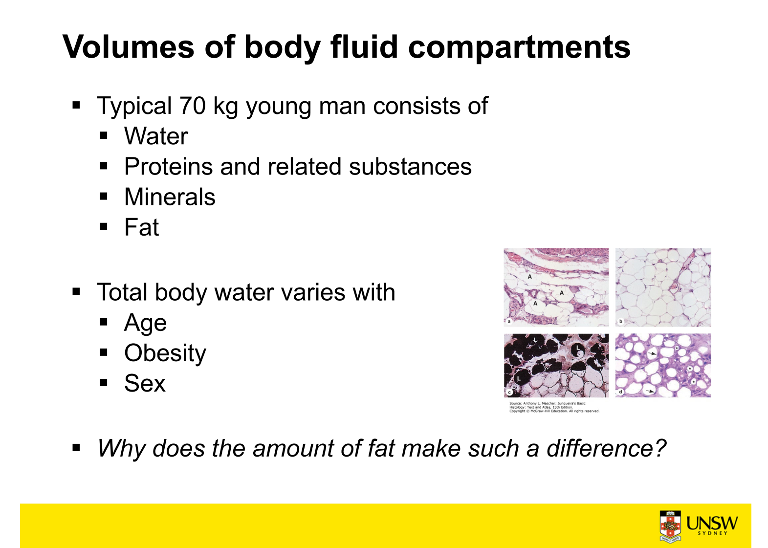 which sex has a lower total body water, males or females?

\

