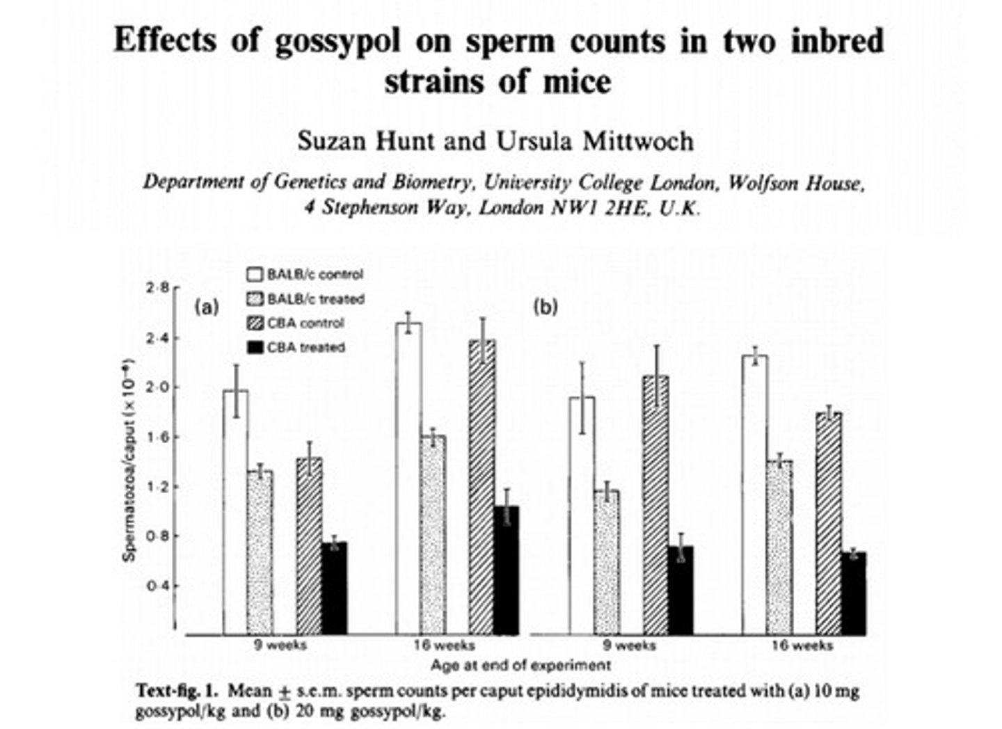 <p>It decreases sperm production and alters semen morphology.</p>