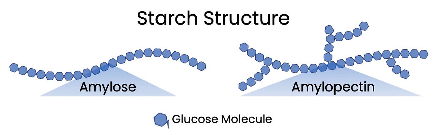 <p>made of alpha glucose monomers that form 2 polymers amylose-unbranched helix 1-4 glycosidic bondsamylopectin-branched molecule 1-4 and 1-6 glycosidic bond</p><ul><li><p>coiled/ helical can<u> compact</u> to fit many glucose</p></li><li><p>branched structure<u> increases SA for rapid hydrolysis</u> back to glucose</p><ul><li><p>glucose easily accessible by enzymes to break down for respiration</p></li></ul></li><li><p><u>insoluble</u> so osmotically inactive</p></li><li><p><u>Large</u> so cannot cross cell-surface membrane</p></li></ul><p></p>