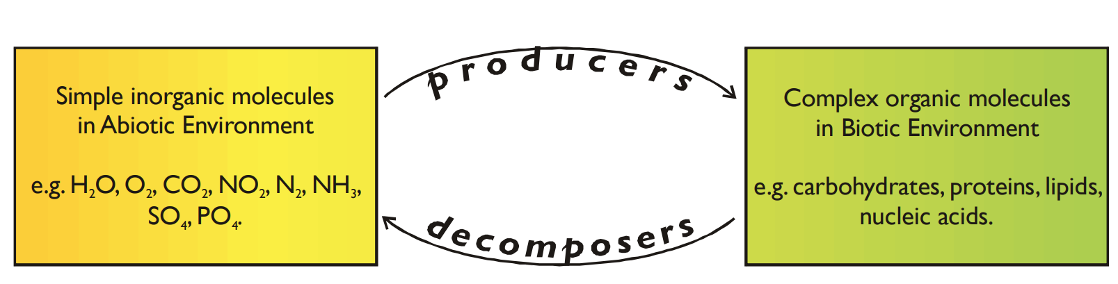 <p>Assimilated (i.e. converted into vitamins/minerals) from the abiotic environment by producers &amp; microbes → then built into complex organic molecules</p><p></p>