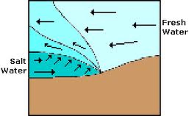 <p>rapid river flow and small tidal range cause an inclined wedge of seawater to form at the mouth.</p>