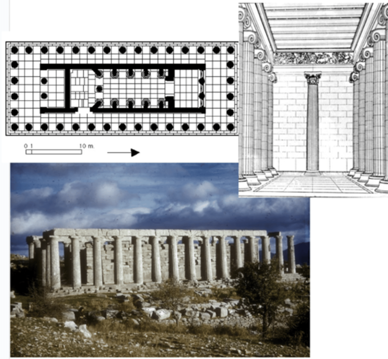 knowt flashcard image