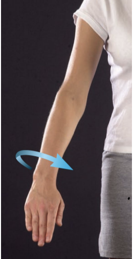 <p>making forearm prone</p>