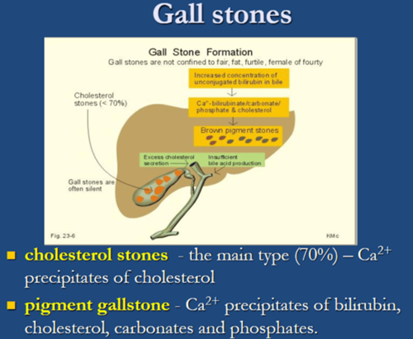 <p><span class="bgY">pigment gallstones</span> contains <span class="bgY">Ca2+ precipitates of bilirubin, cholesterol, carbonates and phosphates.</span></p>