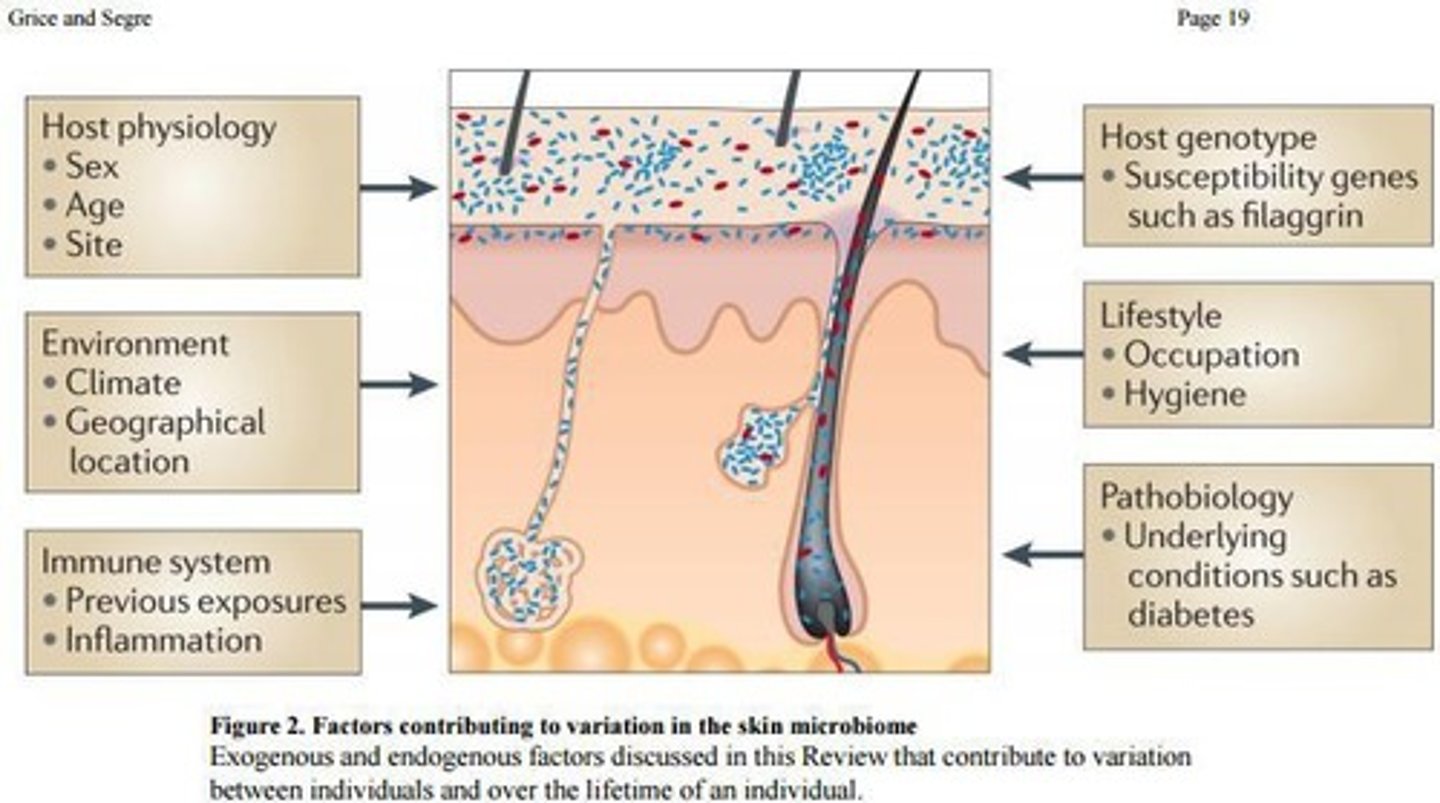 <p>Organisms that normally live on the skin are often the ones that cause infections.</p>