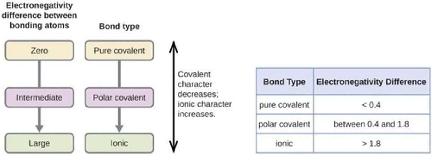 <p>Formed when electrons are shared equally between two atoms of the same type.</p>