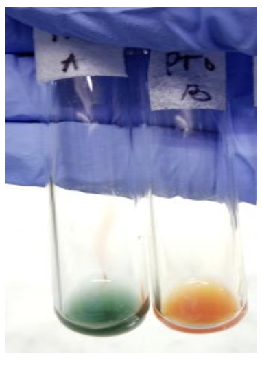 <p>Identify the:</p><ul><li><p>Blood Group</p></li><li><p>Antibody/Antibodies Present</p></li><li><p>Antigen(s) Present</p></li></ul><p></p><p>Grade the Reaction</p><ul><li><p>Anti-A Sera: </p></li><li><p>Anti-B Sera:</p></li></ul><p></p>
