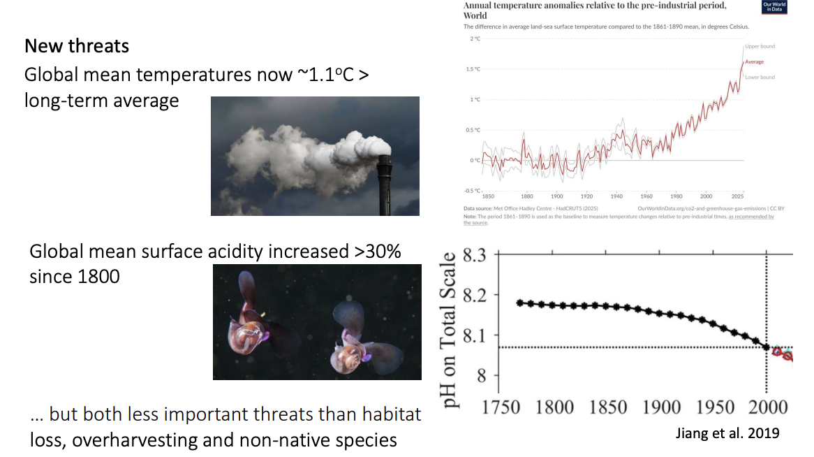 <ol><li><p>Climate change</p><ul><li><p>1.1 degrees above pre industrial</p></li></ul></li><li><p>ocean acidification</p><ul><li><p>&gt;30% increase since 1800</p></li><li><p>coral reef cannot built skeletons</p></li></ul></li></ol><p><em>But less important than longer-established threats</em></p><p></p>