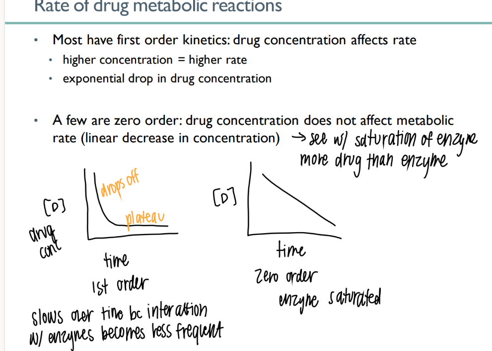 <p>drug conc does NOT affect the rate. limited number of enzymes available </p><p>LINEAR decr </p>