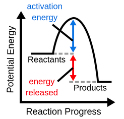 <p>Exothermic Reaction</p>